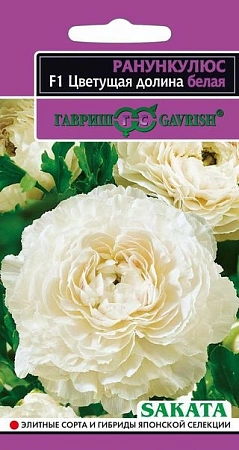Ранункулюс Цветущая Долина, 5 шт