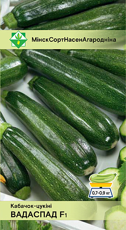 Кабачок Водопад F1, 10 шт (МССО)