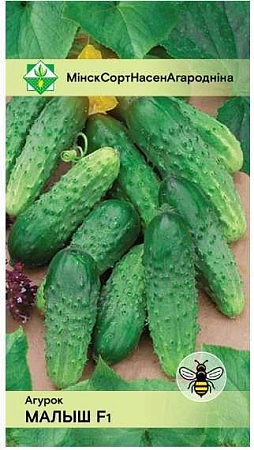 Огурец Малыш F1, 0,6 г (МССО) Огурец Малыш F1, 0,6 г (МССО)