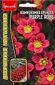 Камнеломка Purple Robe, 0,01 г (Ред.Сем) Камнеломка Purple Robe, 0,01 г (Ред.Сем)