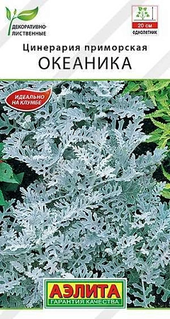 Цинерария Океаника 0,1 г (АЭЛИТА) Цинерария Океаника 0,1 г (АЭЛИТА)