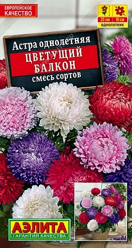 Астра Цветущий балкон 0,2 г (АЭЛИТА) Астра Цветущий балкон 0,2 г (АЭЛИТА)