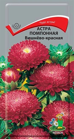 Астра помпонная Вишнево-красная 0,3 г