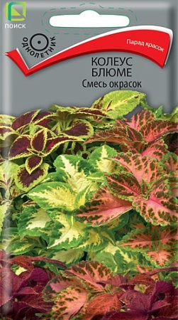 Колеус Блюме смесь окрасок, 0,1 г (Поиск)