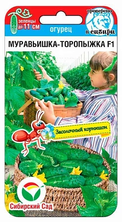 Огурец Муравьишка-торопыжка, 7 шт (Сиб Сад) 