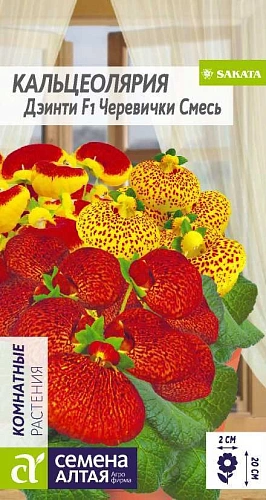 Кальцеолярия Дэинти Черевички смесь, 5 шт Кальцеолярия Дэинти Черевички смесь, 5 шт