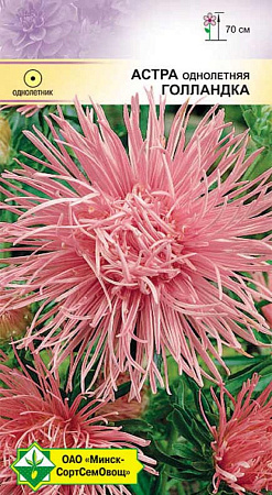 Астра Харц Голландка, 0,3 г (МССО) Астра Харц Голландка, 0,3 г (МССО)