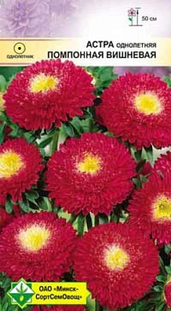 Астра помпонная Вишневая, 0,3 г (МССО) Астра помпонная Вишневая, 0,3 г (МССО)
