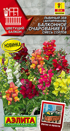 Львиный зев Балконное очарование F1, смесь сортов 7 шт (Аэлита) Львиный зев Балконное очарование F1, смесь сортов 7 шт (Аэлита)