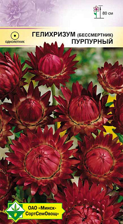 Гелихризум прицветниковый Пурпурный, 0,2 г (МССО) Гелихризум прицветниковый Пурпурный, 0,2 г (МССО)