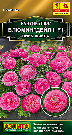 Ранункулюс Блюмингдейл II F1 пинк шэйдс, 3 шт (Аэлита)