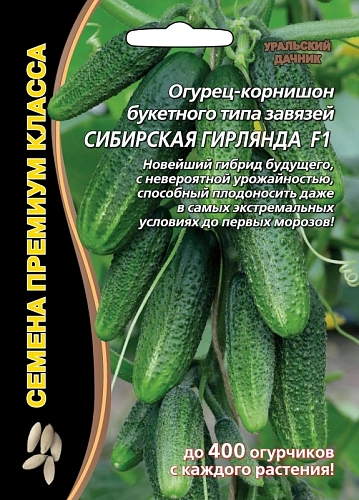 Огурец Сибирская гирлянда F1, 5 шт (УД) Огурец Сибирская гирлянда F1, 5 шт (УД)