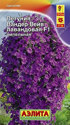 Петуния Вандер вэйв лавандовая, 5 шт Петуния Вандер вэйв лавандовая, 5 шт