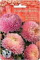 Астра Хризантелла Фламинго на закате, 30 шт (Биотехника) Астра Хризантелла Фламинго на закате, 30 шт (Биотехника)