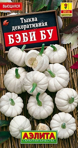 Тыква декоративная Бэби бу, 0,5 г (Аэлита) Тыква декоративная Бэби бу, 0,5 г (Аэлита)