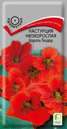Настурция Король Теодор низкорослая, 1 г (Поиск)