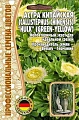 Астра Hulk green-yellow китайская однолетник, 5 шт (Ред.Сем) Астра Hulk green-yellow китайская однолетник, 5 шт (Ред.Сем)