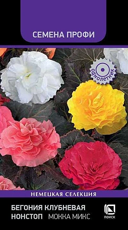 Бегония Нонстоп Мокка микс, 10 шт (Поиск) Бегония Нонстоп Мокка микс, 10 шт (Поиск)