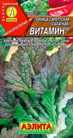 Горчица салатная Витамин 0,5 г (АЭЛИТА)