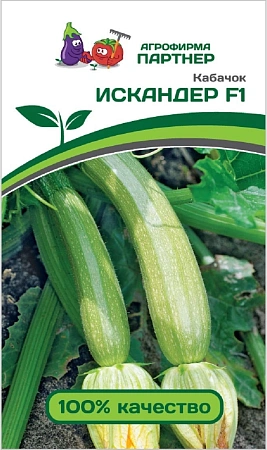 Кабачок Искандер F1 5 шт (ПАРТНЕР)
