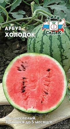 Арбуз Холодок, 1 г (СеДек) Арбуз Холодок, 1 г (СеДек)