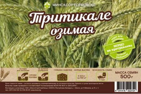 Тритикале озимая Тадеус, 0,5 кг (МССО)