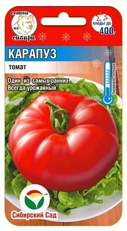 Томат Карапуз, 20 шт
