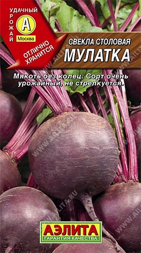 Свекла Мулатка столовая, 2 г (Аэлита) Свекла Мулатка столовая, 2 г (Аэлита)