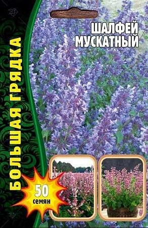 Шалфей мускатный Большая грядка, 50 шт (Ред.сем)