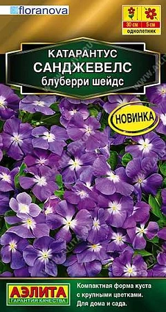 Катарантус Санджевелс блуберри шейдс, 7 шт (Аэлита)