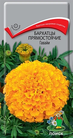 Бархатцы прямостоячие Гавайи, 0,4 г Бархатцы прямостоячие Гавайи, 0,4 г