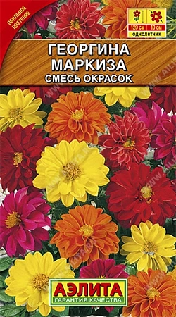 Георгина махровая Маркиза, смесь 10 шт