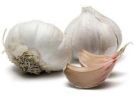 Чеснок озимый