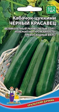 Кабачок Черный Красавец (УД)