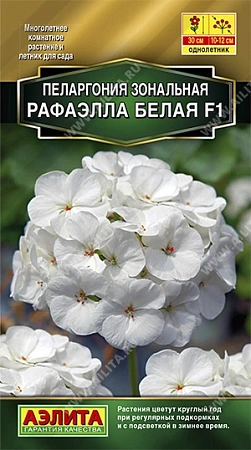 Пеларгония Рафаэлла F1, белая 5 шт