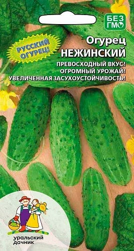 Огурец Нежинский 12 (УД) Огурец Нежинский 12 (УД)