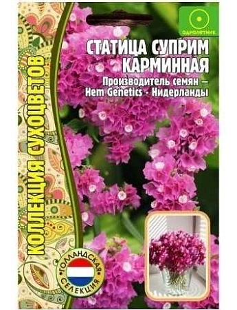 Статица Суприм Карминная однолетник, 20 шт (Ред.сем)