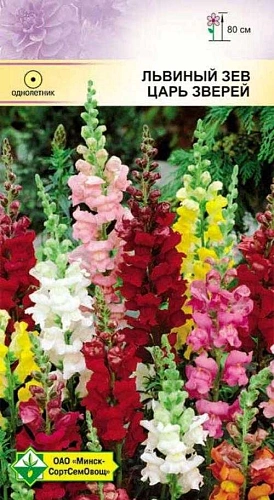 Львиный зев Царь зверей, 0,2 г (МССО) Львиный зев Царь зверей, 0,2 г (МССО)