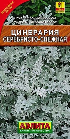 Цинерария Серебристо-снежная 0,1 г (АЭЛИТА) Цинерария Серебристо-снежная 0,1 г (АЭЛИТА)