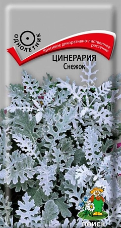 Цинерария Снежок 0,1 г (Поиск) Цинерария Снежок 0,1 г (Поиск)