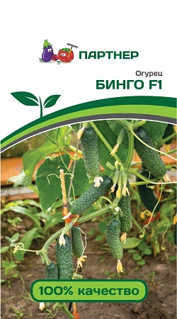 Огурец Бинго F1, 5 шт (ПАРТНЕР) Огурец Бинго F1, 5 шт (ПАРТНЕР)