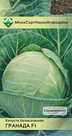 Капуста белокочанная Гранада F1, 15 шт (МССО) Капуста белокочанная Гранада F1, 15 шт (МССО)