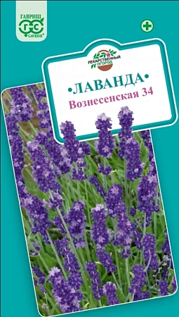 Лаванда узколистная Вознесенская 34, 0,05 г (ГАВРИШ) Лаванда узколистная Вознесенская 34, 0,05 г (ГАВРИШ)