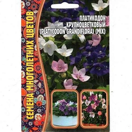 Платикодон крупноцветковый Микс многолетник, 25 шт (Ред.Сем)