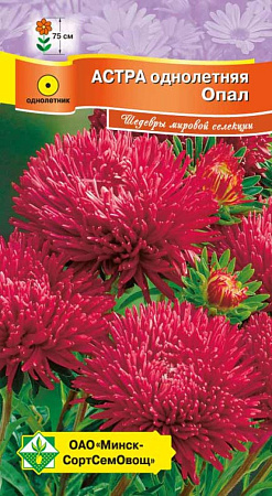 Астра Ювелирная Опал, 0,15 г (МССО) Астра Ювелирная Опал, 0,15 г (МССО)