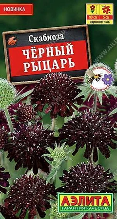 Скабиоза Черный рыцарь 0,1 г (АЭЛИТА Скабиоза Черный рыцарь 0,1 г (АЭЛИТА