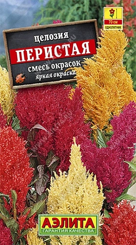 Целозия перистая, смесь 0,3 г Целозия перистая, смесь 0,3 г