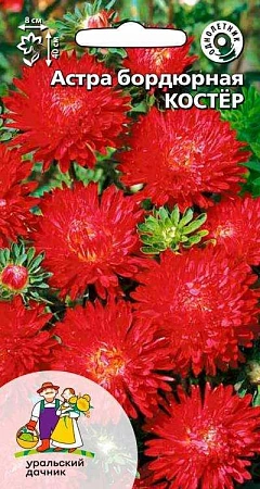 Астра Костер бордюрная (УД) Астра Костер бордюрная (УД)