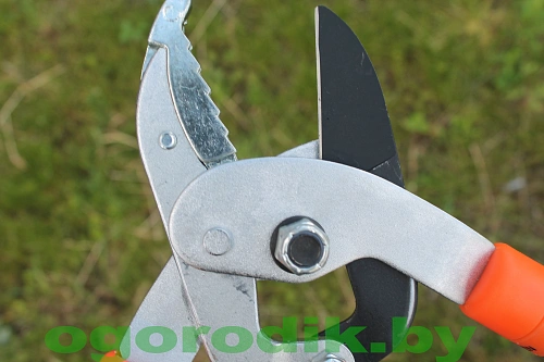 Сучкорез телескопический Hecht 020 ALGG Сучкорез телескопический Hecht 020 ALGG