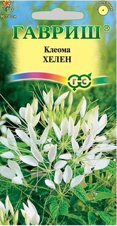 Клеома Хелен 0,2 г (ГАВРИШ)